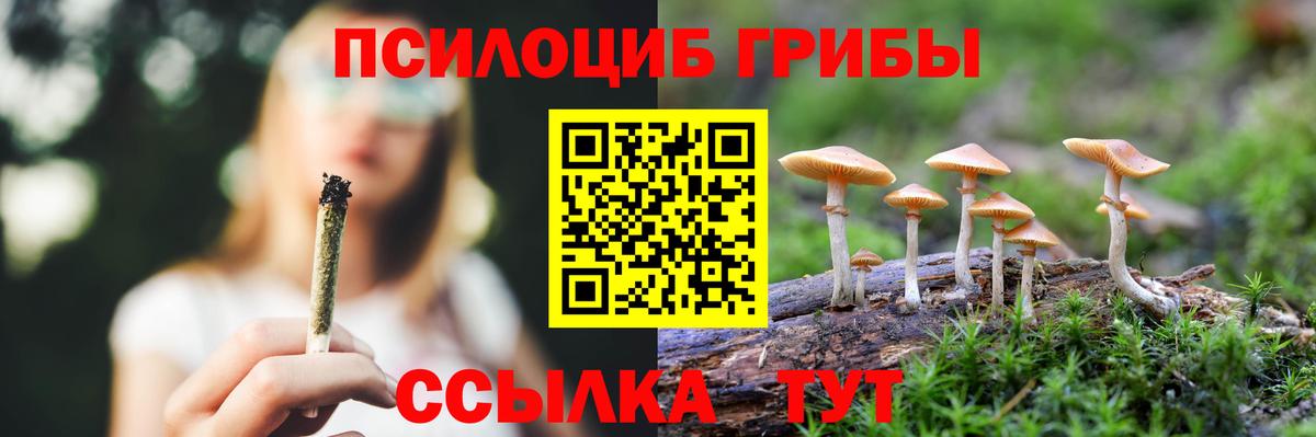 Галлюциногенные грибы GOLDEN TEACHER Лысьва